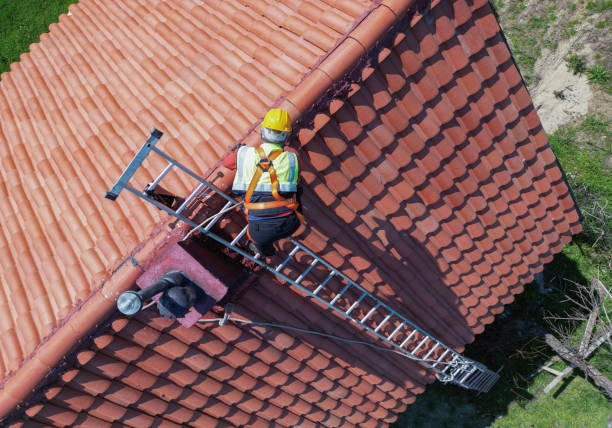 Best Skylight Installation and Repair  in Westvle, IL